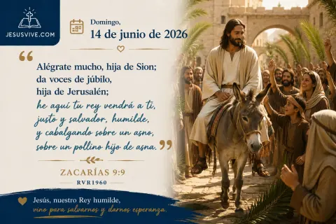 Domingo, 14 de junio de 2026